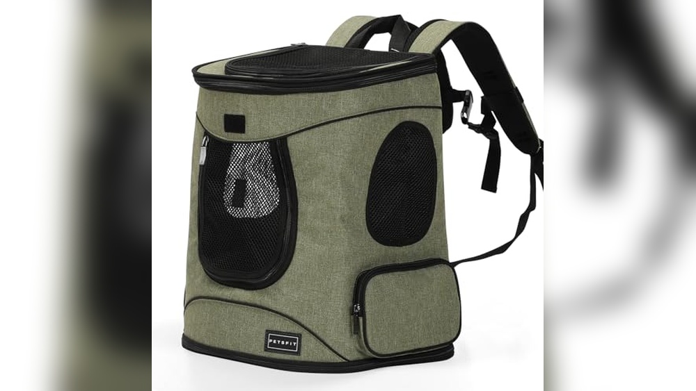 Best Cat Backpack for Hiking