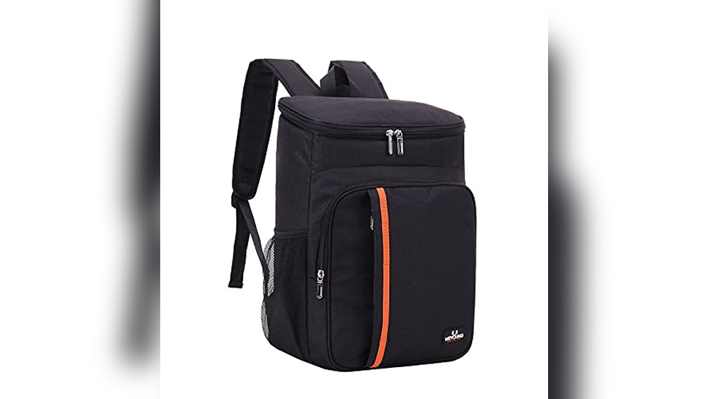Best Cooler Backpacks for Tailgating And Hiking