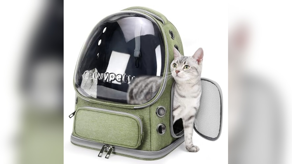 Best Hiking Cat Backpack
