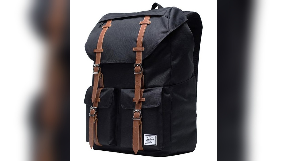 Why Did My Cat Pee on My Backpack